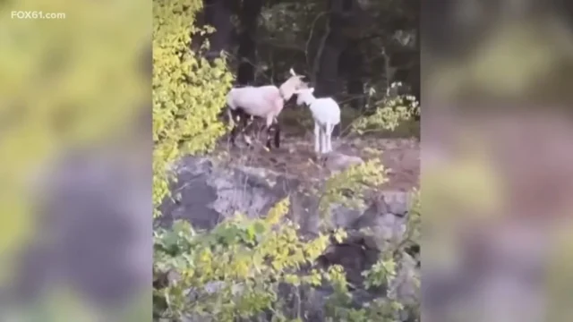 1bd9fcd595ef050841ed72ab597dd6f5