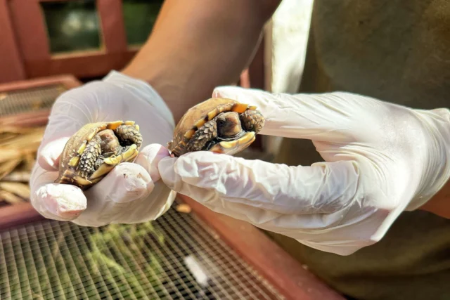 5f41afdabfaf9d21518965743f0b0537